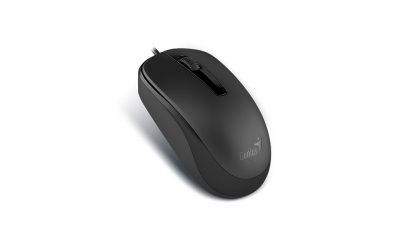 Mouse Genius DX-120 USB Black (0975)
