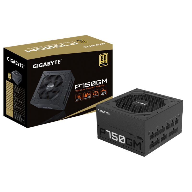 Fuente Gigabyte 750W 80 plus Gold Modular sin cable power (1773)