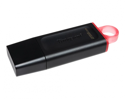 Pen Drive KINGSTON 256GB USB 3.2 DTX (0023)