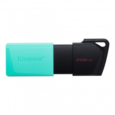 Pen Drive KINGSTON256GB USB 3.2  DTXM/256GB (6383)