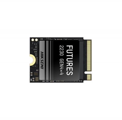 Disco SSD M.2 PCIE 4.0 2230 HIKSEMI Future S 1024GB 7450 MB/s (0203)